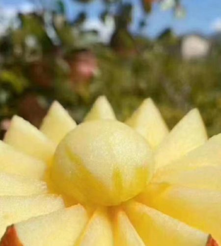 Yanyuan Apples apple07