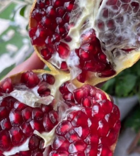 pomegranate07