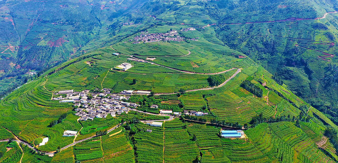 Home 300,000 Mu of Organic Mulberry Orchard