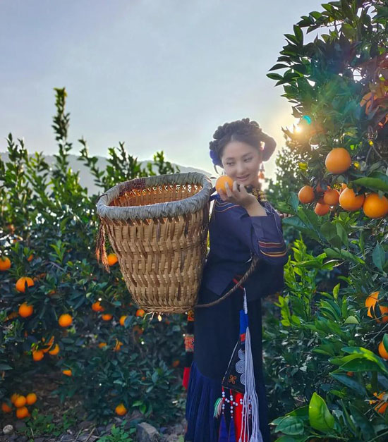 Leibo Navel Oranges oranges03