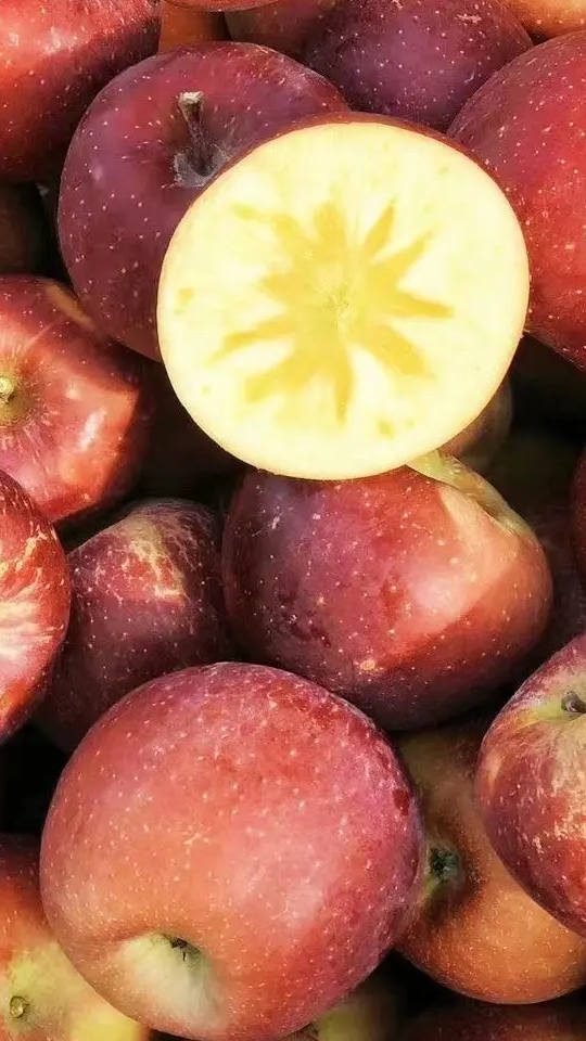 Yanyuan Apples apple09