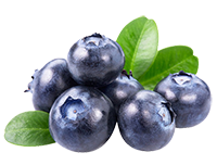 blueberry