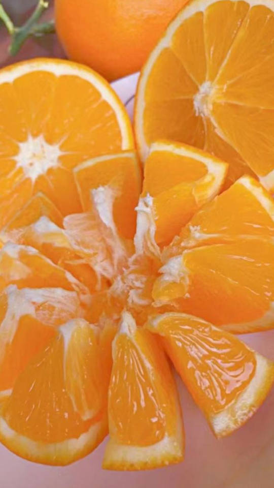 Leibo Navel Oranges orange06