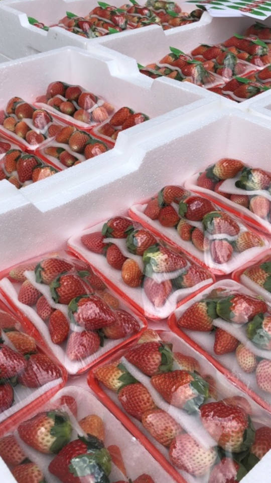 Strawberries strawberry09